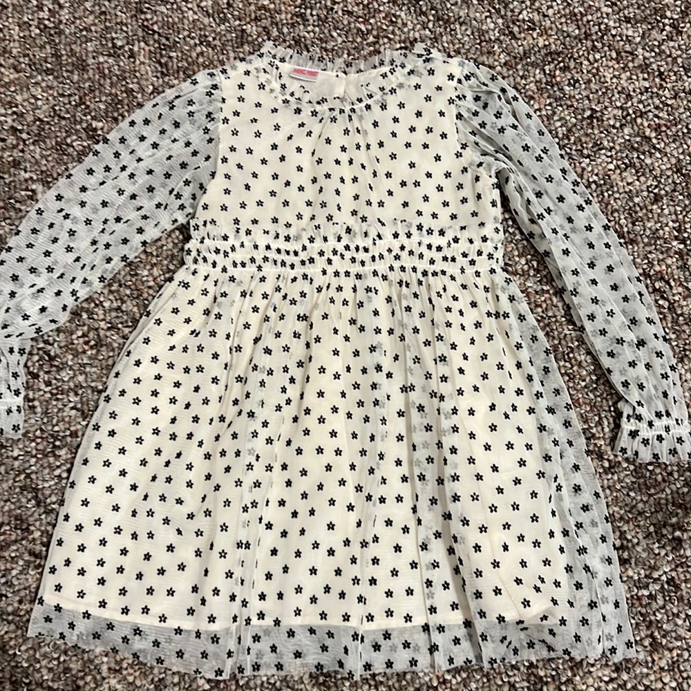 Zara dress